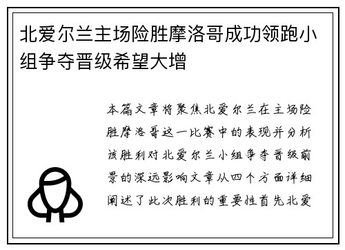 北爱尔兰主场险胜摩洛哥成功领跑小组争夺晋级希望大增
