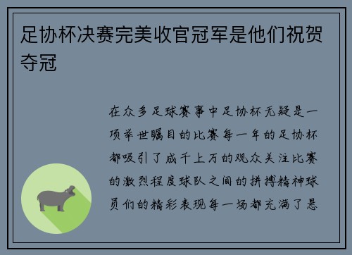 足协杯决赛完美收官冠军是他们祝贺夺冠