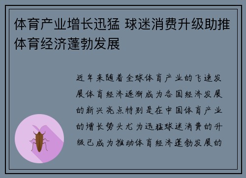 体育产业增长迅猛 球迷消费升级助推体育经济蓬勃发展